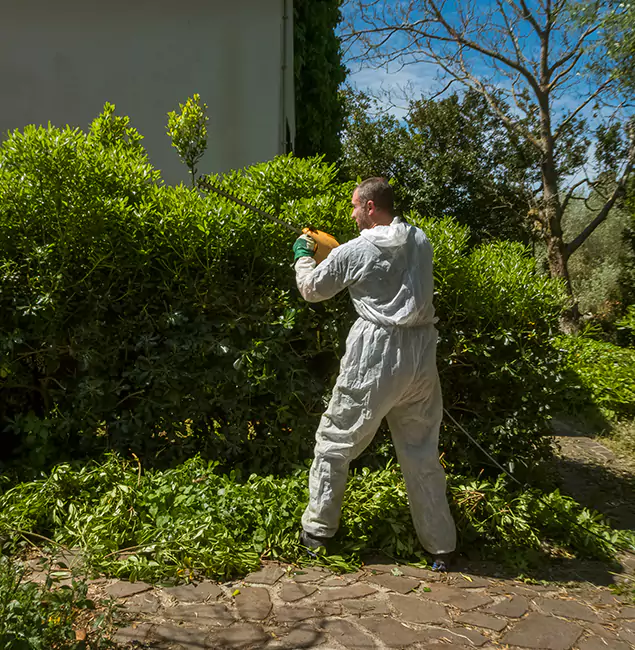 Why Amarillo Pest Control Pro Leads Mosquito Control in Amarillo, TX?