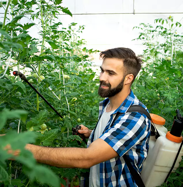 Why Amarillo Homeowners Choose Amarillo Pest Control Pro for Mosquito Spraying?