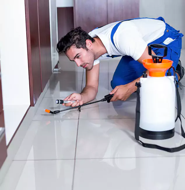 Why Amarillo Pest Control Pro Is the Proven Choice in Amarillo, TX?