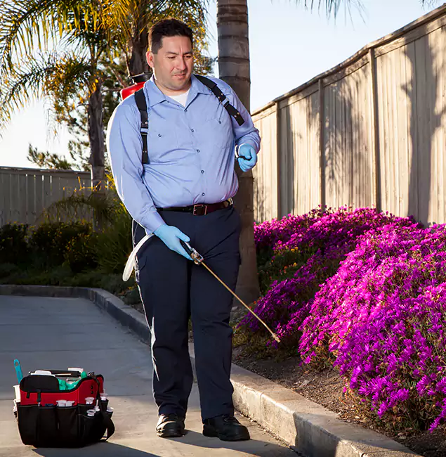 Why Choose Amarillo Pest Control Pro in Amarillo, TX?