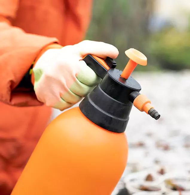 Why Choose Amarillo Pest Control Pro for Orange Termite Treatment in Amarillo, TX?