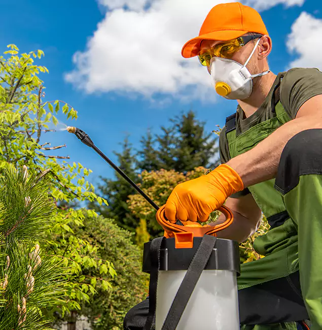 Why Choose Amarillo Pest Control Pro for Outdoor Pest Control in Amarillo, TX?