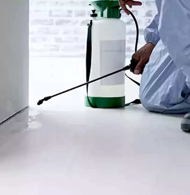 Why Choose Amarillo Pest Control Pro for Rat Exterminator in Amarillo, TX?