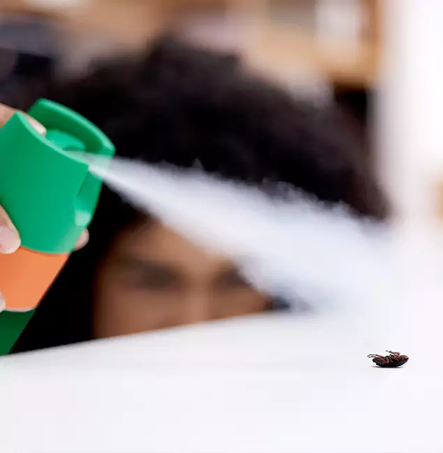 Why Amarillo, TX Homeowners Choose Amarillo Pest Control Pro for Roach Pest Control?