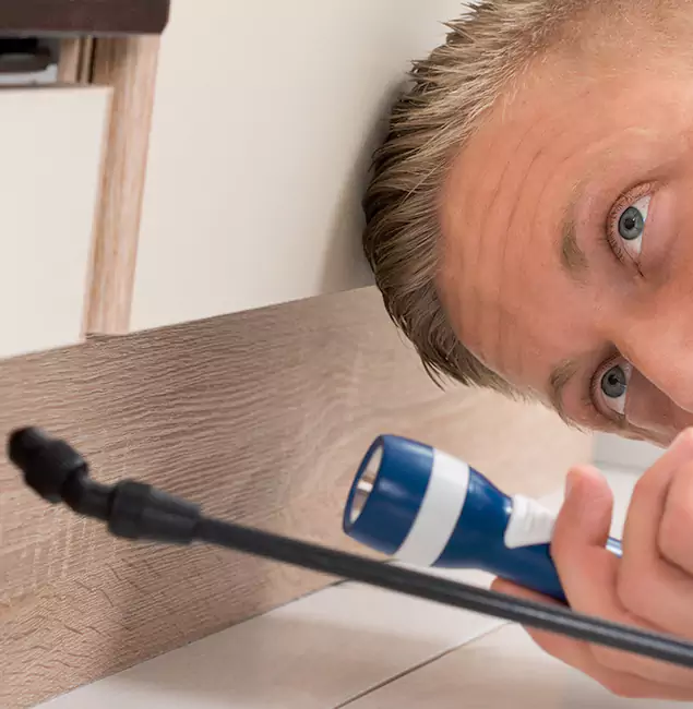 Why Choose Amarillo Pest Control Pro for Rodent Exterminator in Amarillo, TX?