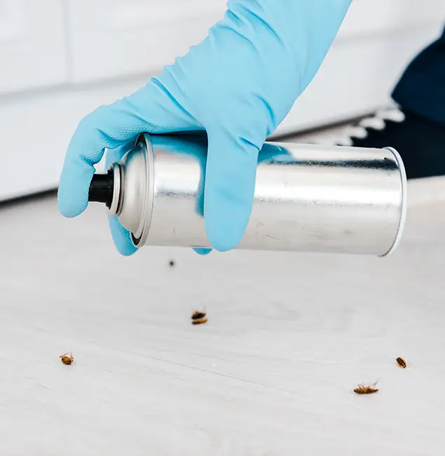 Why Choose Amarillo Pest Control Pro for Safe Bed Bug Treatment in Amarillo, TX?