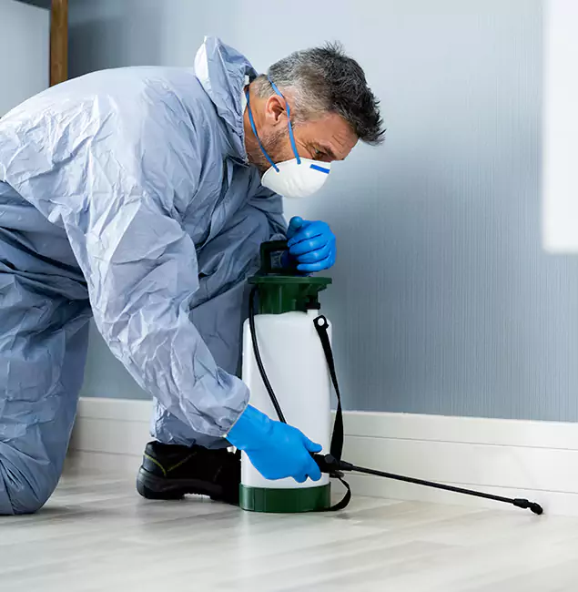 Why Choose Amarillo Pest Control Pro for Subterranean Termites Treatment in Amarillo, TX?