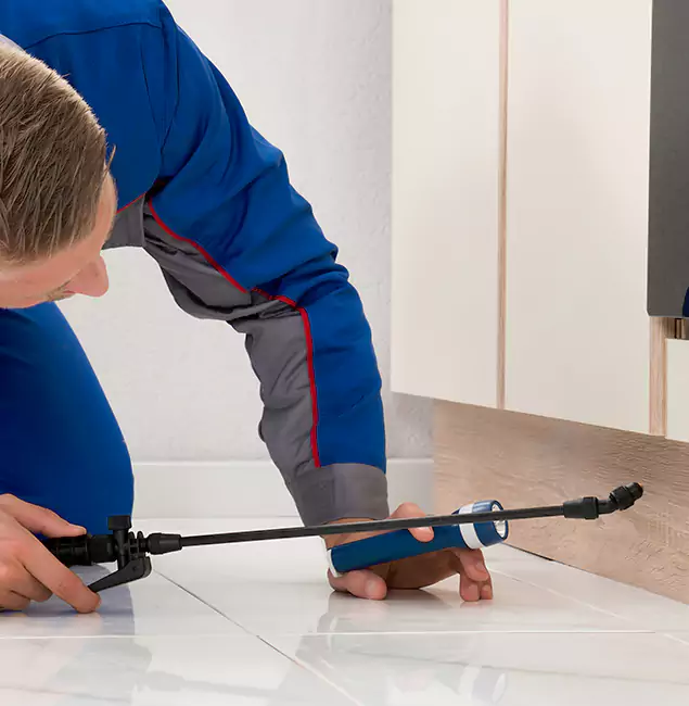 Why Amarillo Residents Choose Amarillo Pest Control Pro to Get Rid of Sugar Ants?
