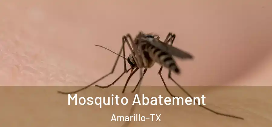 Mosquito Abatement Amarillo-TX