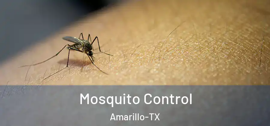 Mosquito Control Amarillo-TX