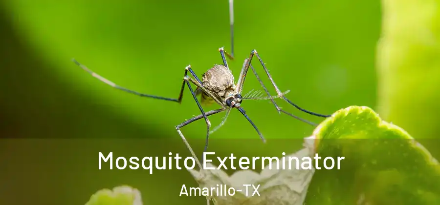  Mosquito Exterminator Amarillo-TX