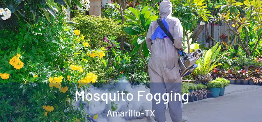 Mosquito Fogging Amarillo-TX