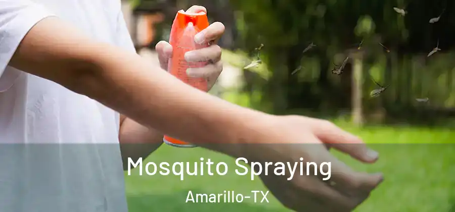  Mosquito Spraying Amarillo-TX