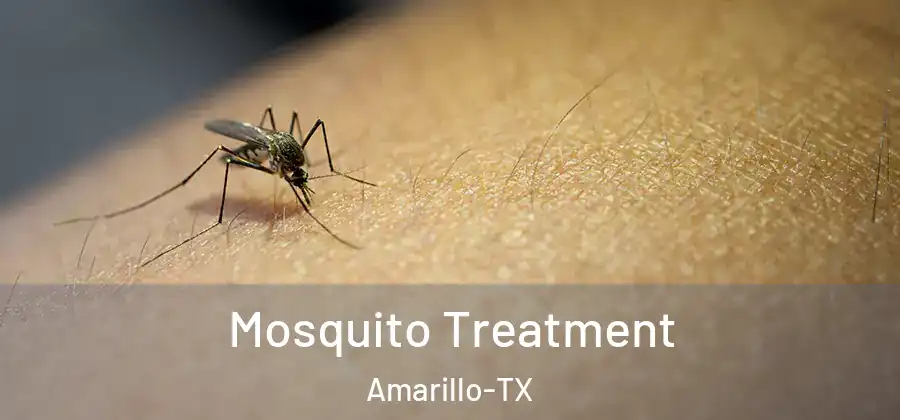 Mosquito Treatment Amarillo-TX