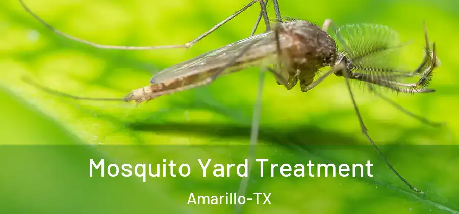 Mosquito Yard Treatment Amarillo-TX