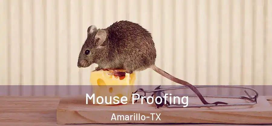 Mouse Proofing Amarillo-TX