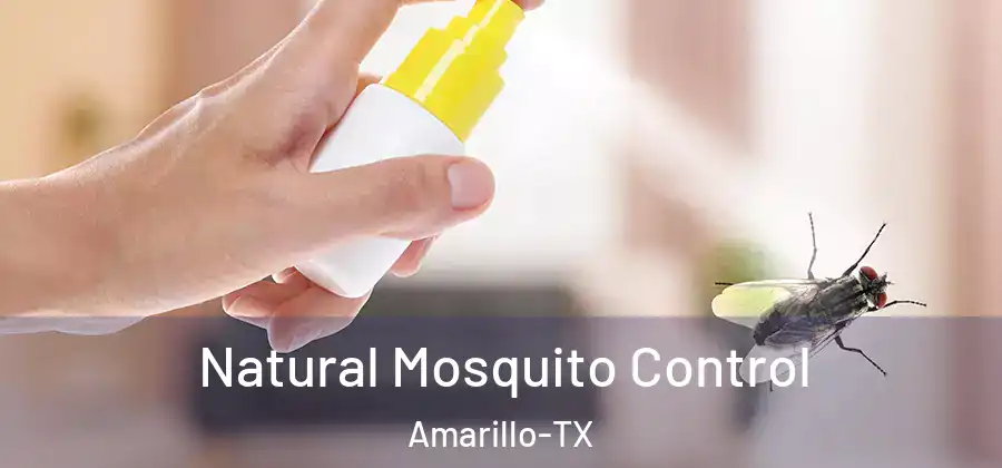 Natural Mosquito Control Amarillo-TX