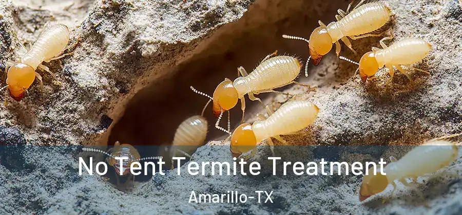 No Tent Termite Treatment Amarillo-TX