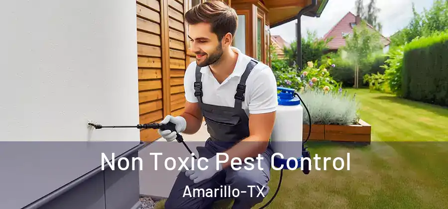 Non Toxic Pest Control Amarillo-TX