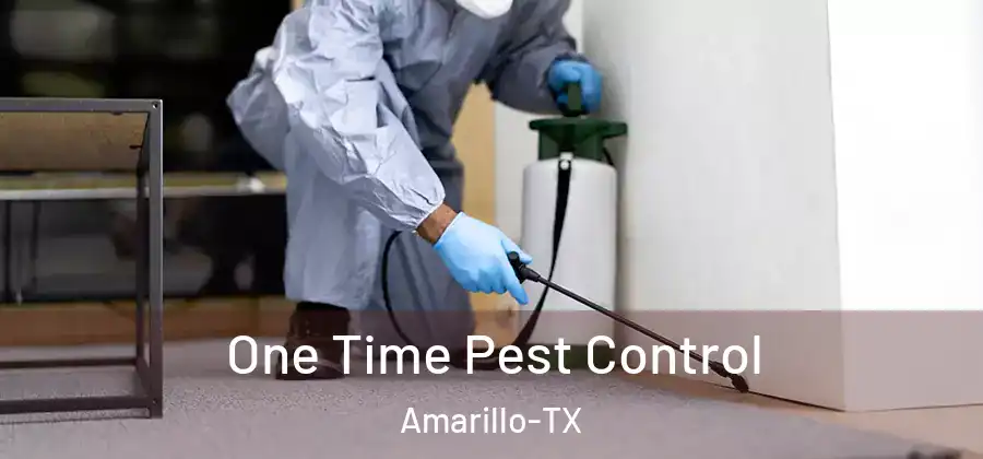 One Time Pest Control Amarillo-TX