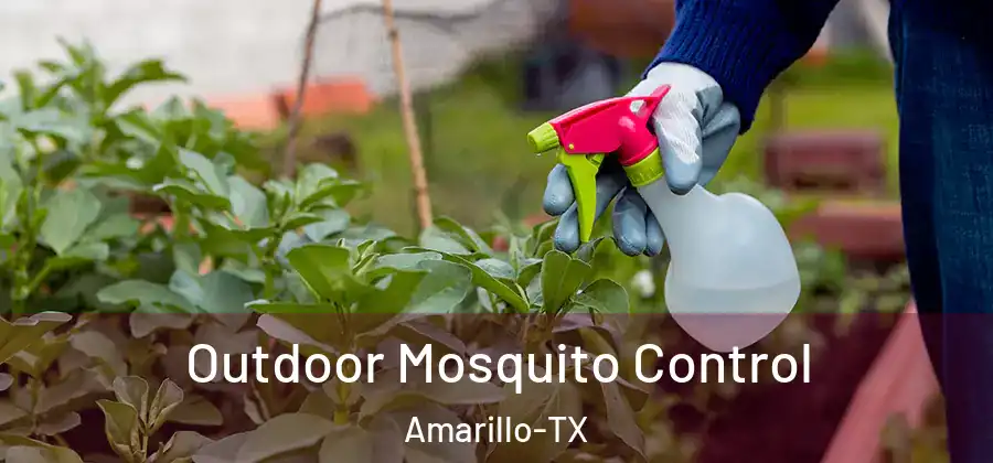 Outdoor Mosquito Control Amarillo-TX