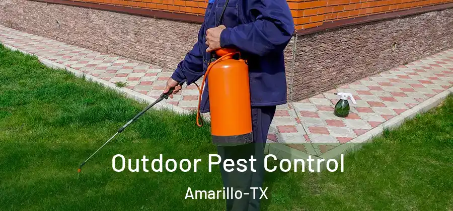 Outdoor Pest Control Amarillo-TX