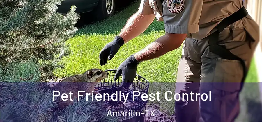  Pet Friendly Pest Control Amarillo-TX