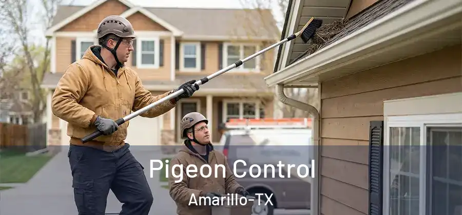  Pigeon Control Amarillo-TX