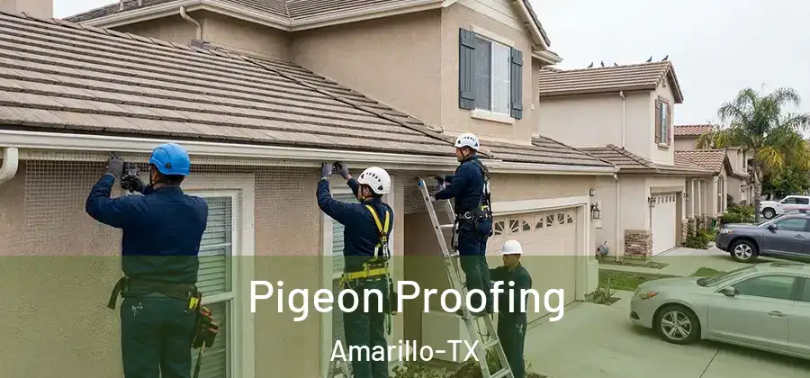Pigeon Proofing Amarillo-TX