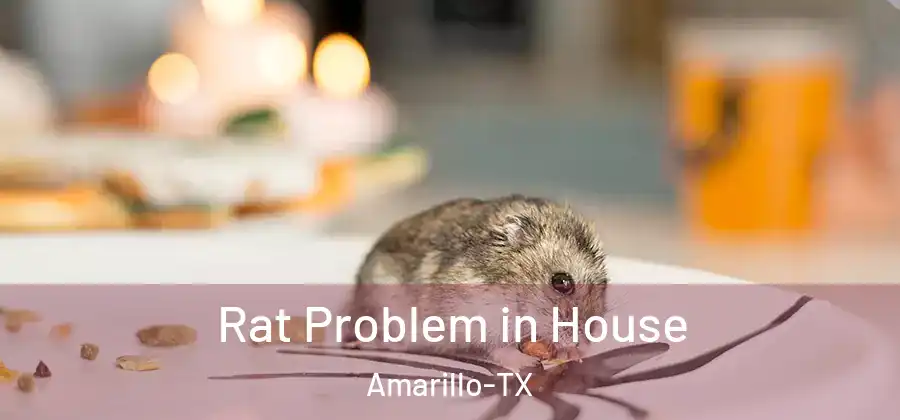 Rat Problem in House Amarillo-TX