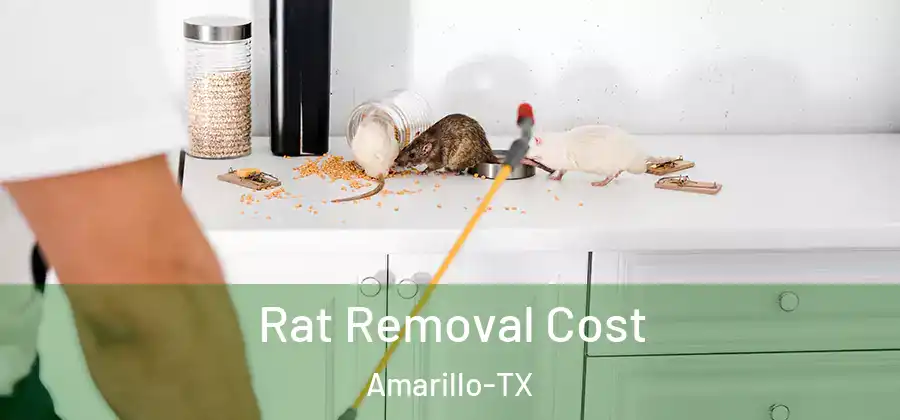 Rat Removal Cost Amarillo-TX