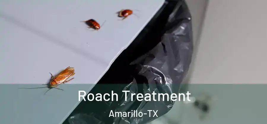  Roach Treatment Amarillo-TX