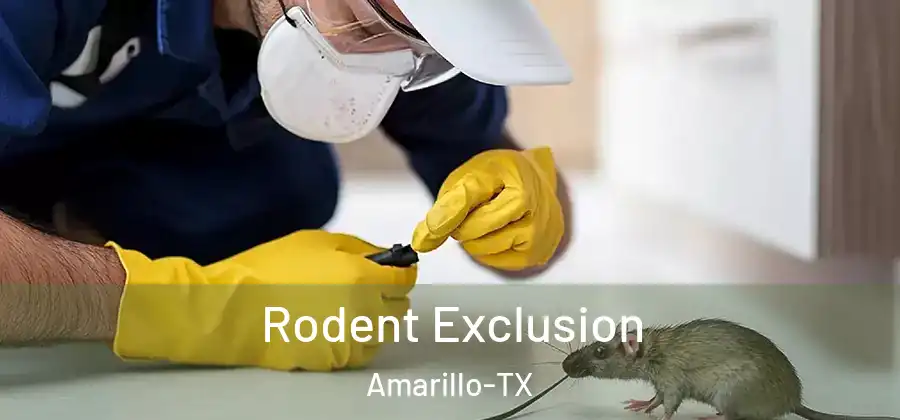  Rodent Exclusion Amarillo-TX