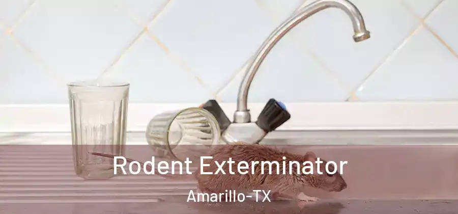 Rodent Exterminator Amarillo-TX