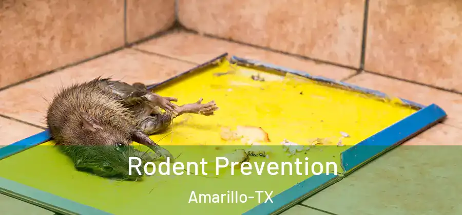  Rodent Prevention Amarillo-TX