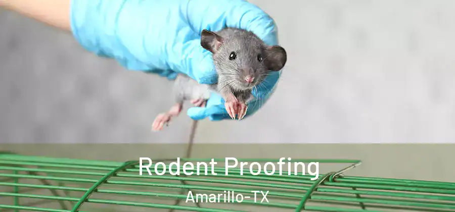 Rodent Proofing Amarillo-TX