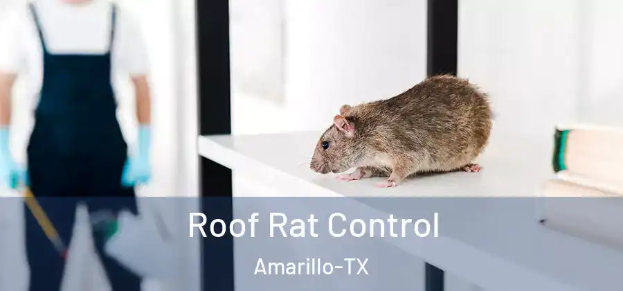 Roof Rat Control Amarillo-TX