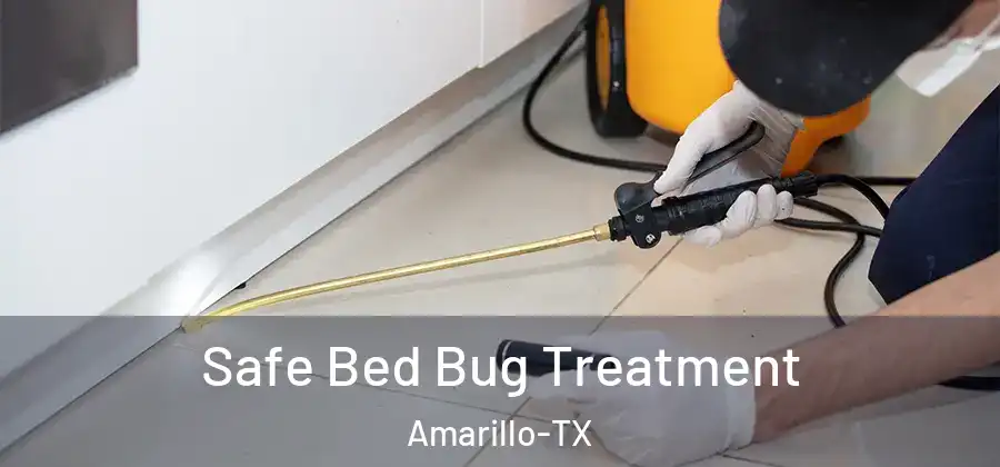  Safe Bed Bug Treatment Amarillo-TX