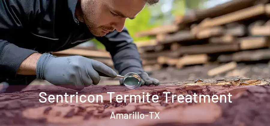  Sentricon Termite Treatment Amarillo-TX