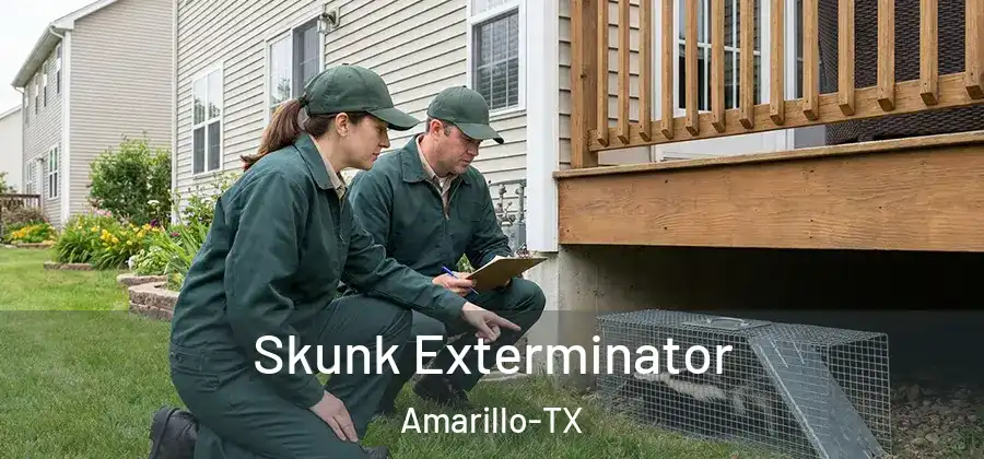  Skunk Exterminator Amarillo-TX