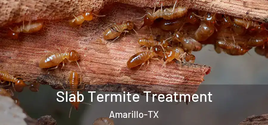 Slab Termite Treatment Amarillo-TX