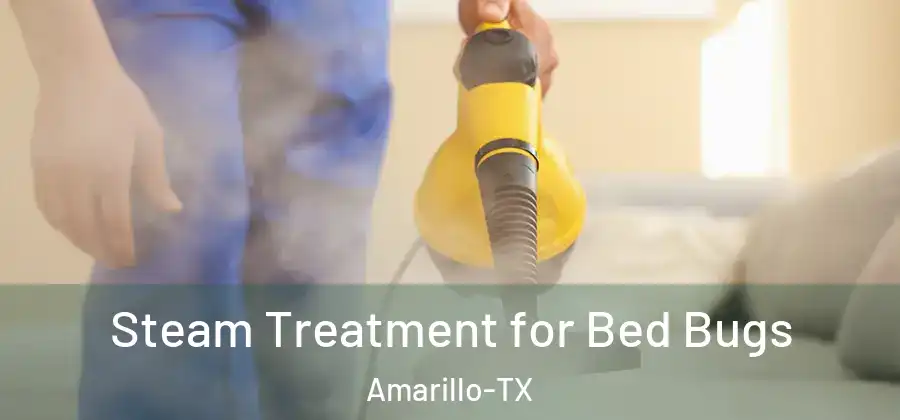 Steam Treatment for Bed Bugs Amarillo-TX