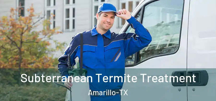 Subterranean Termite Treatment Amarillo-TX