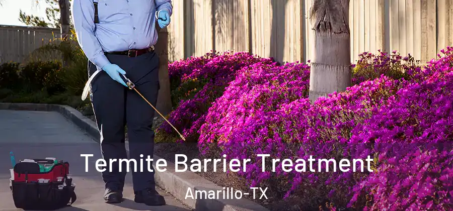 Termite Barrier Treatment Amarillo-TX