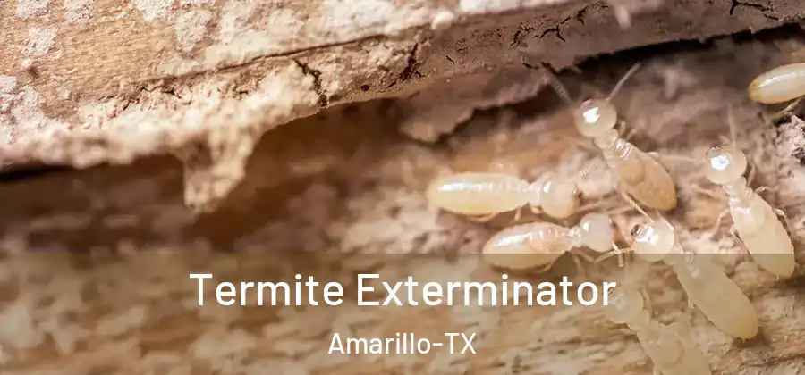 Termite Exterminator Amarillo-TX