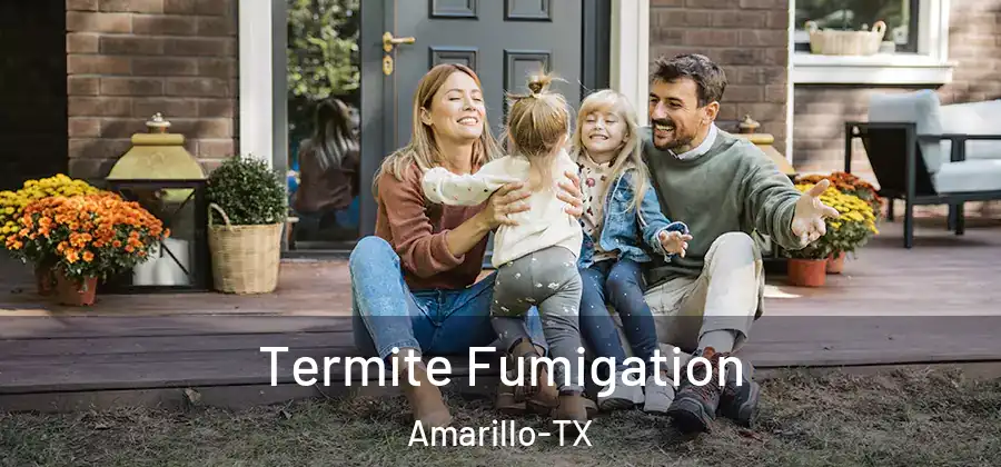 Termite Fumigation Amarillo-TX