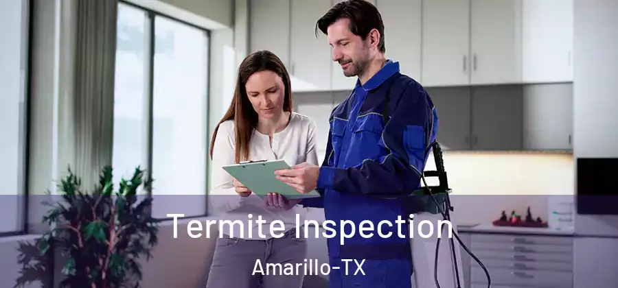 Termite Inspection Amarillo-TX