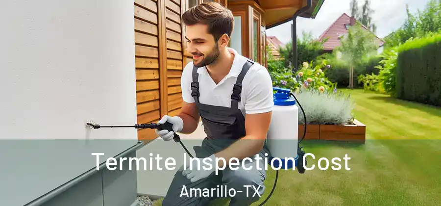 Termite Inspection Cost Amarillo-TX