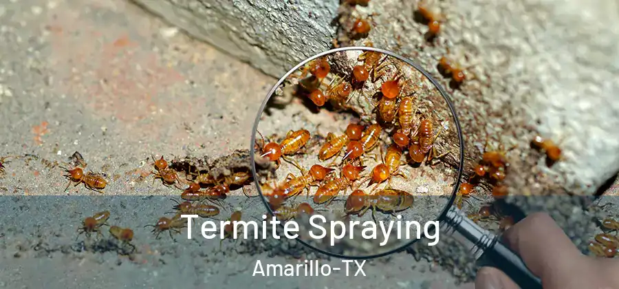  Termite Spraying Amarillo-TX