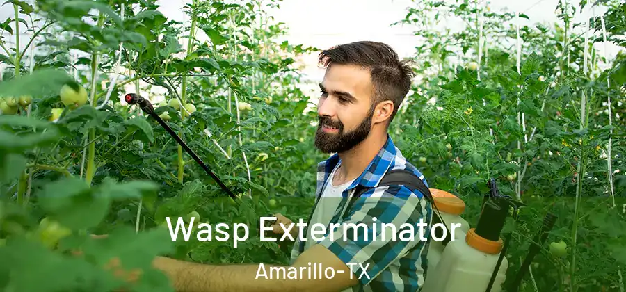 Wasp Exterminator Amarillo-TX